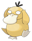 Psyduck.png